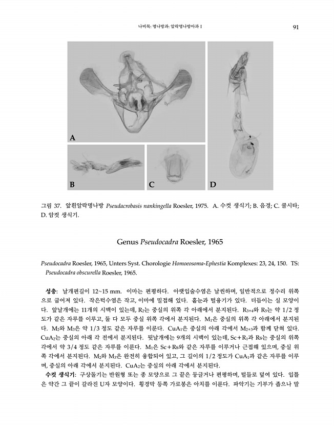 91페이지