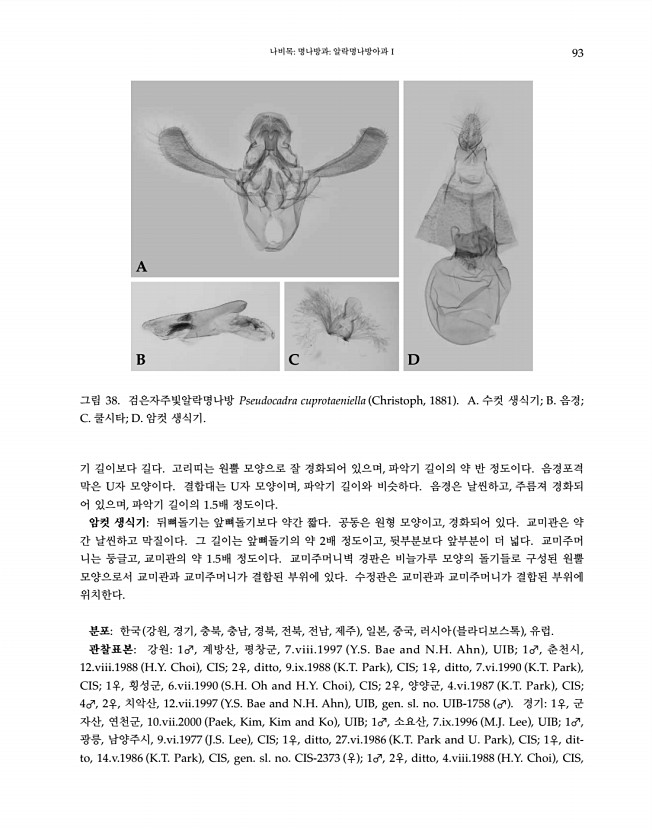 93페이지