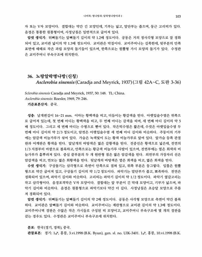 103페이지