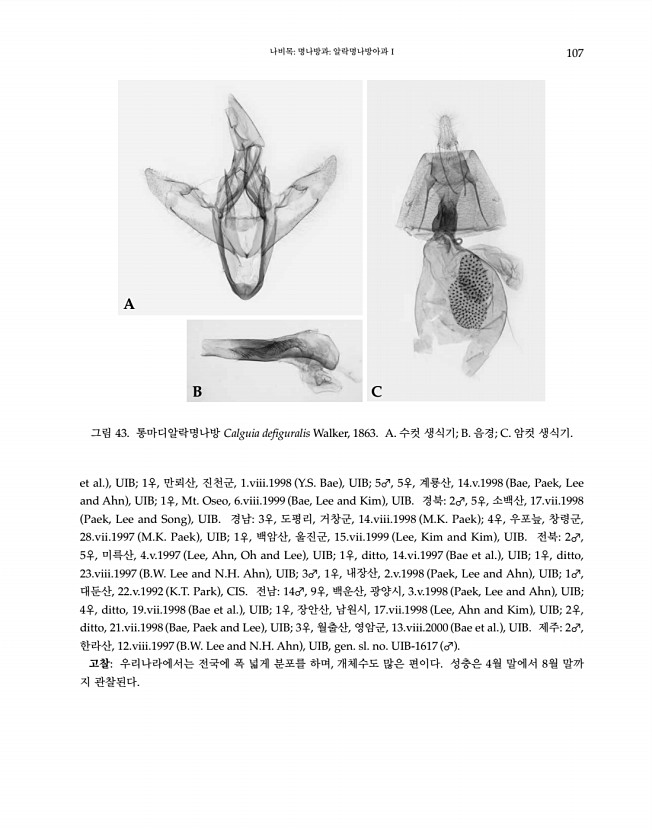 107페이지