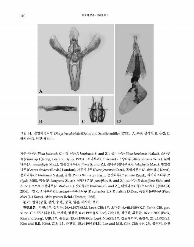 110페이지