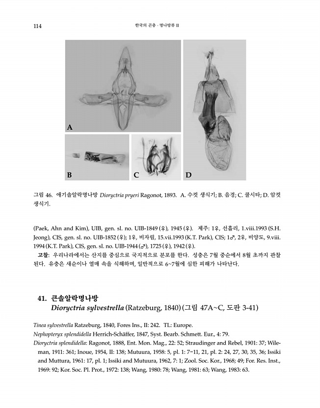 114페이지