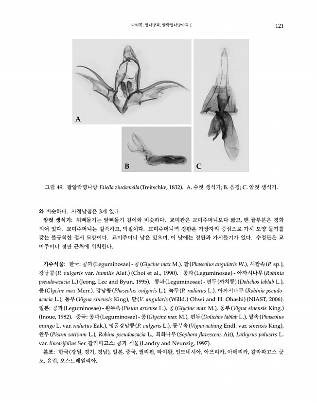 121페이지