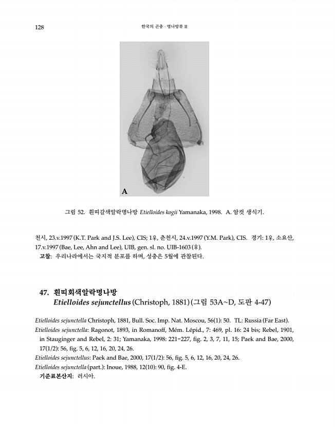 128페이지