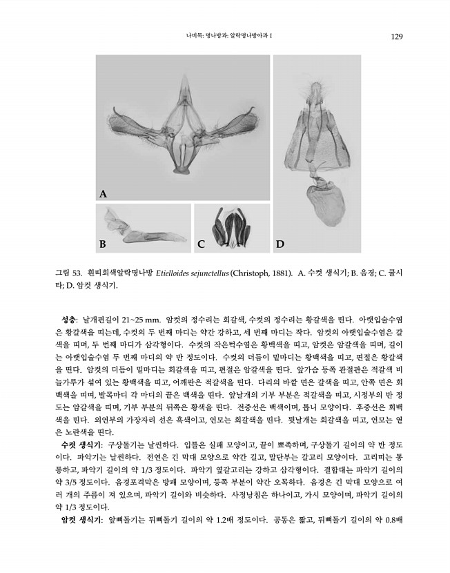 129페이지