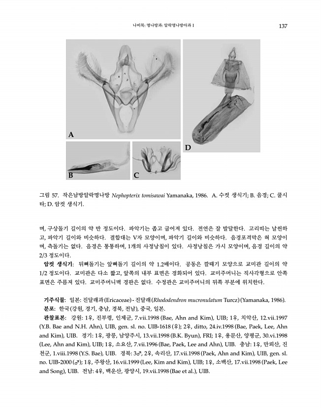 137페이지