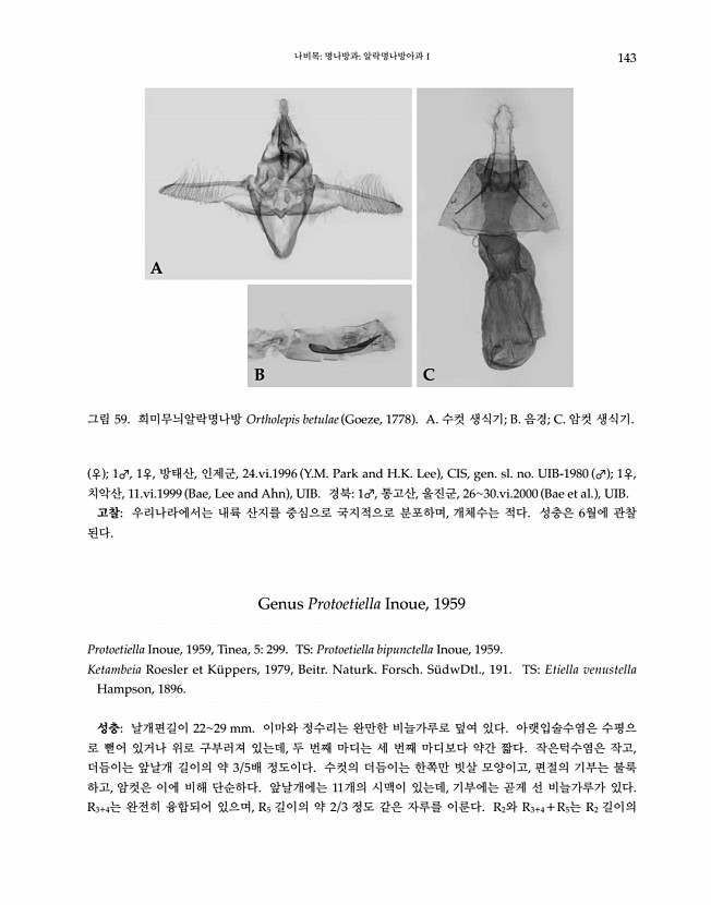 143페이지