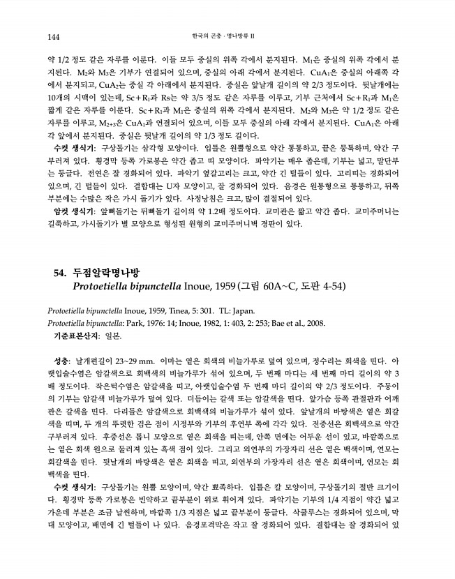144페이지