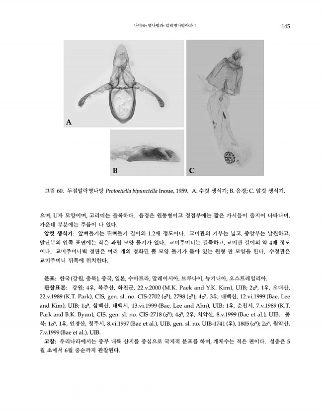145페이지