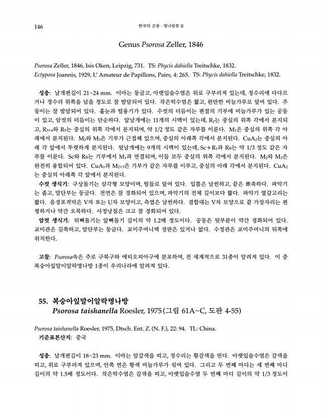 146페이지
