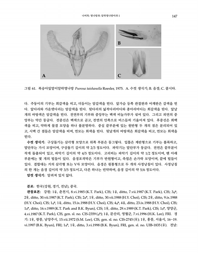 147페이지