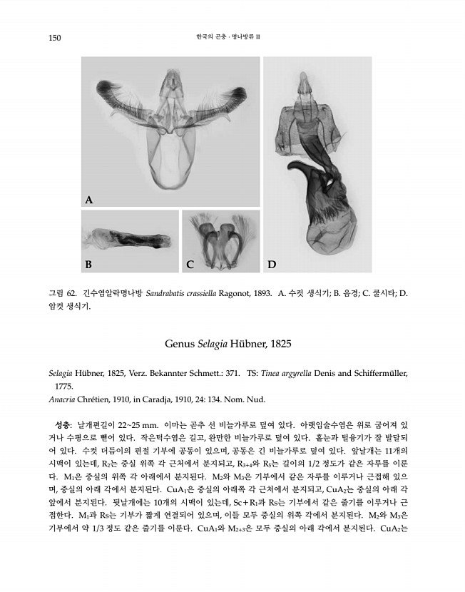 150페이지