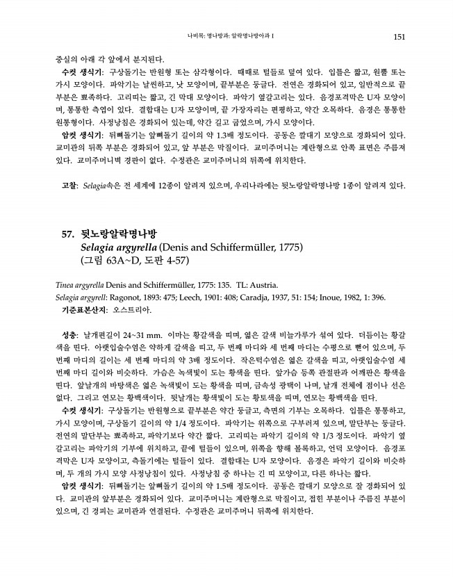 151페이지