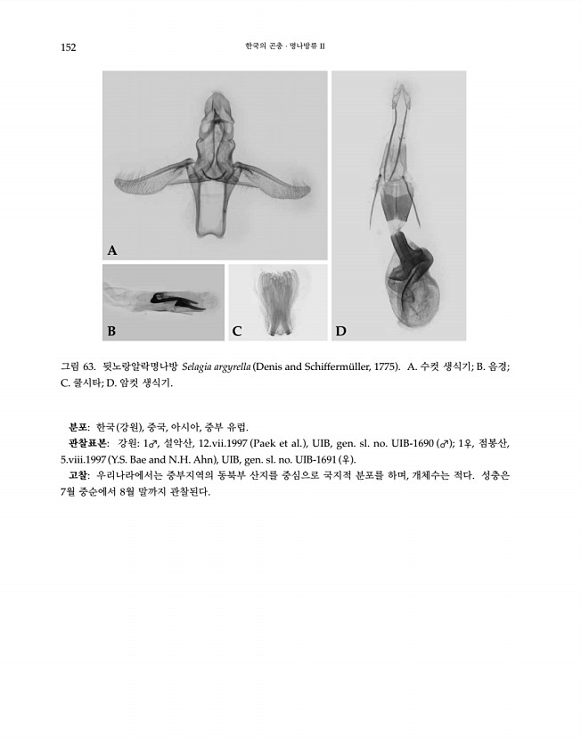 152페이지