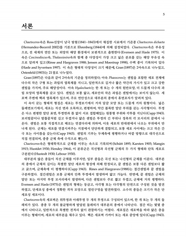 5페이지