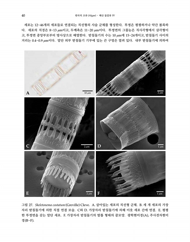 40페이지
