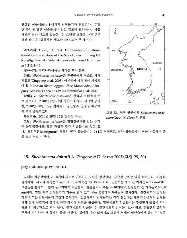 41페이지