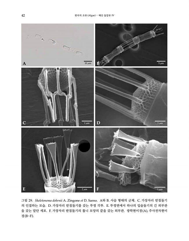 42페이지