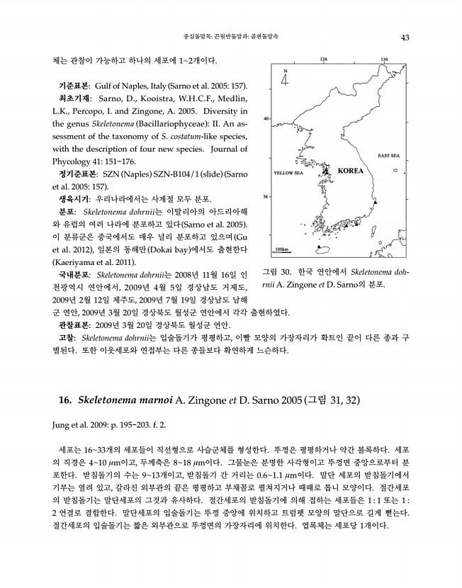 43페이지