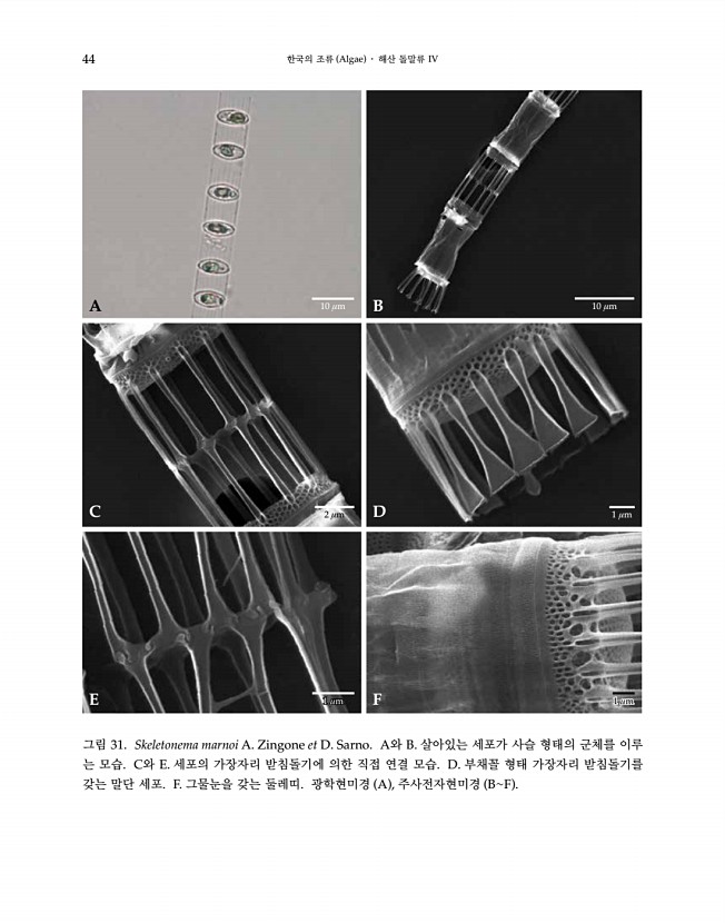 44페이지