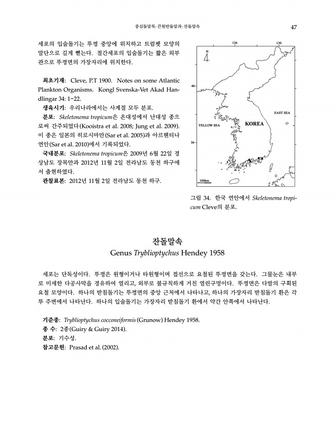47페이지