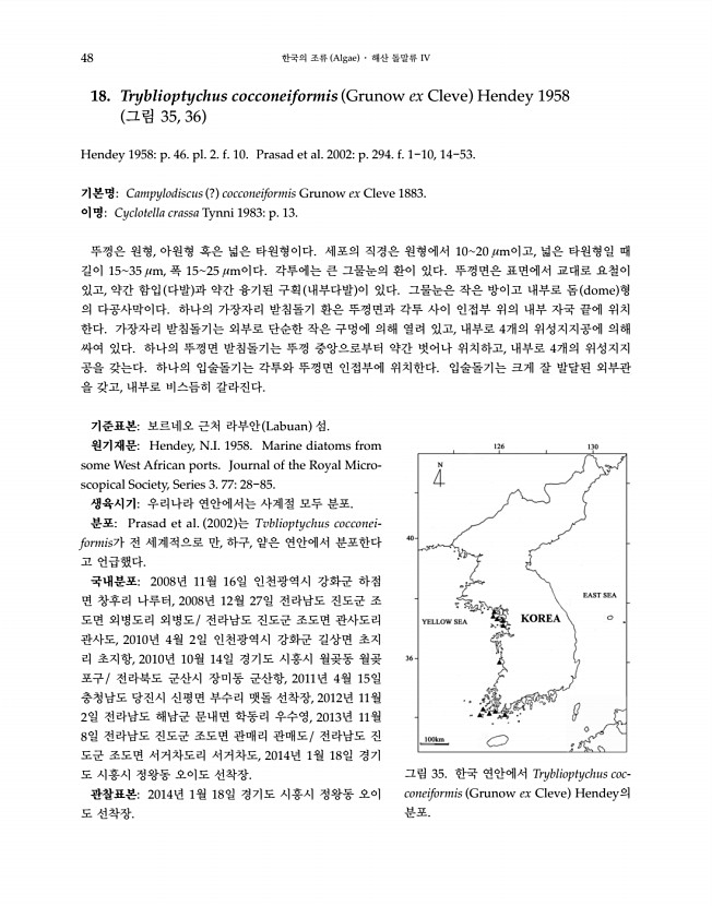48페이지