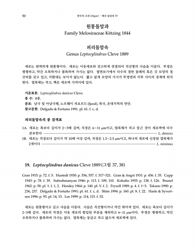 50페이지