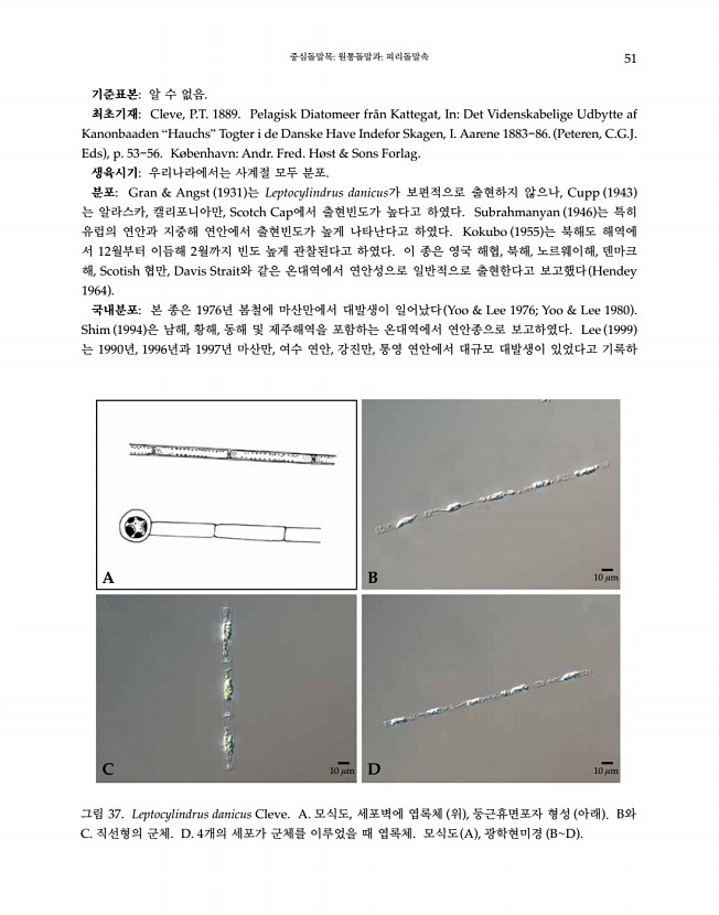 51페이지