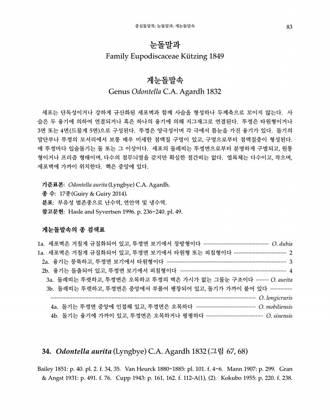 83페이지