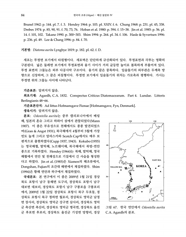 84페이지