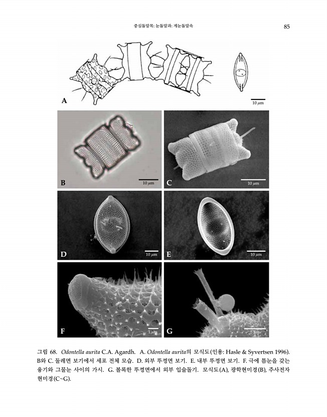 85페이지
