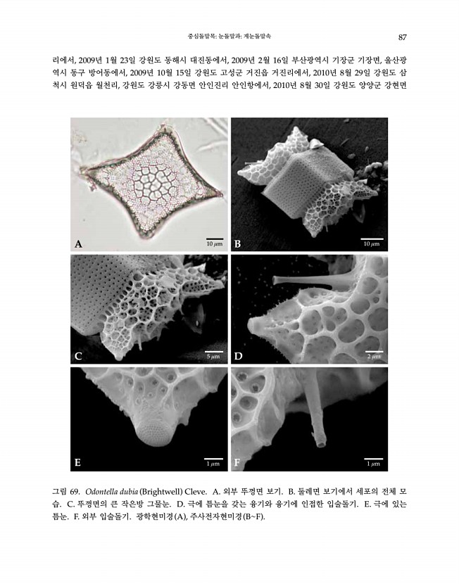 87페이지