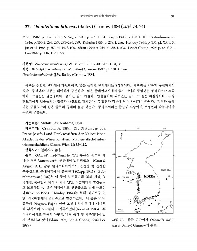 91페이지