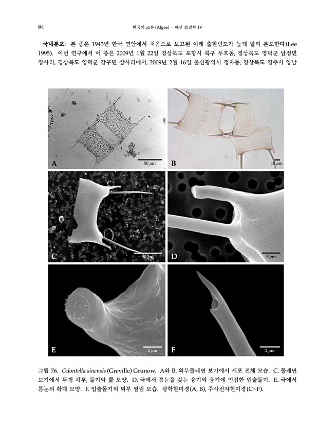 94페이지