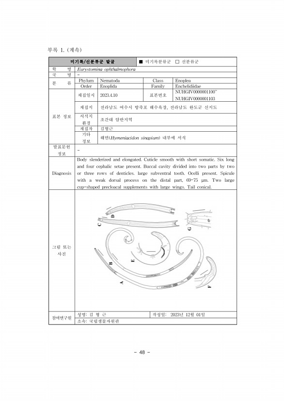 55페이지