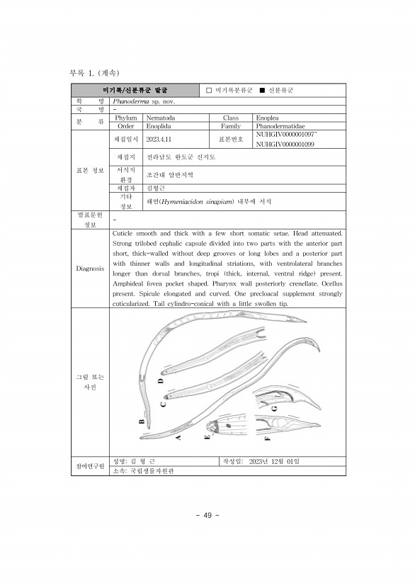 56페이지