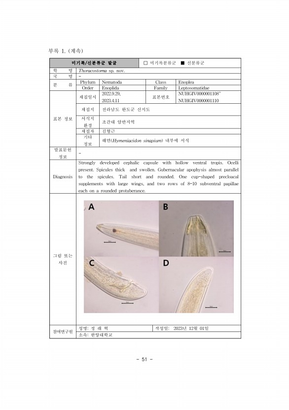 58페이지