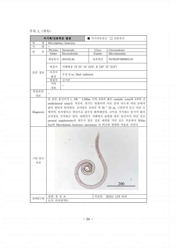 61페이지