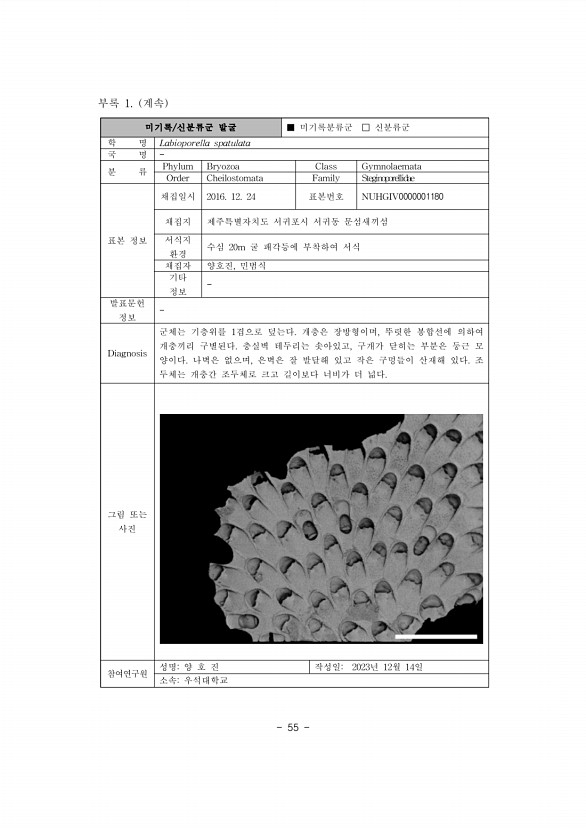 62페이지