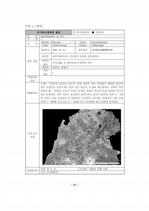 63페이지