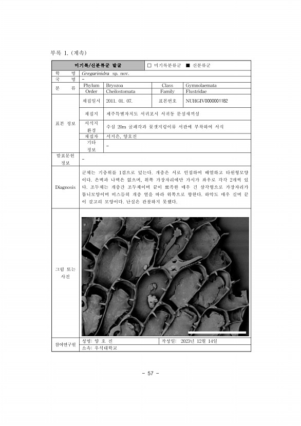 64페이지