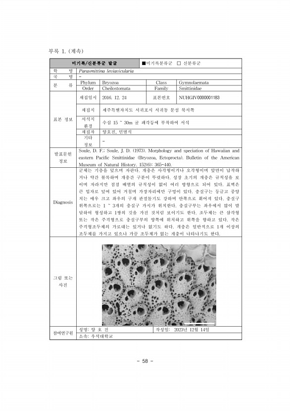 65페이지