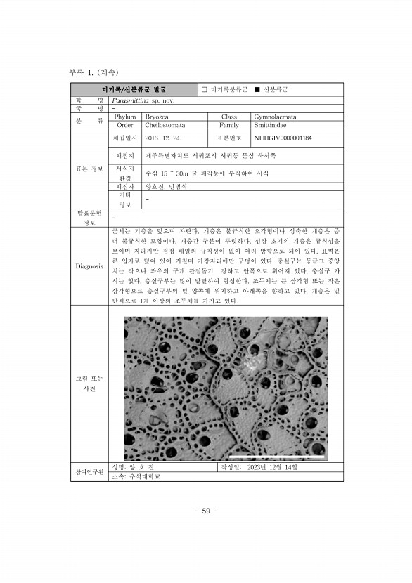 66페이지