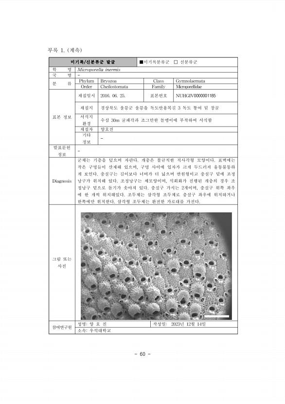 67페이지