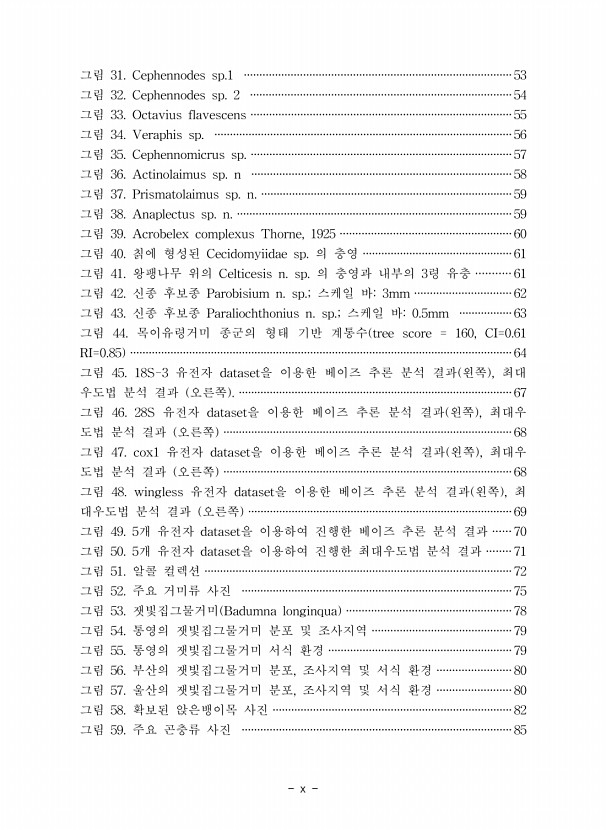 페이지