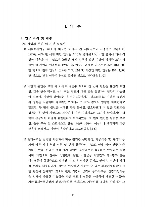 13페이지