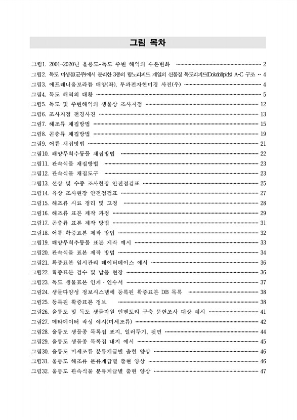 페이지
