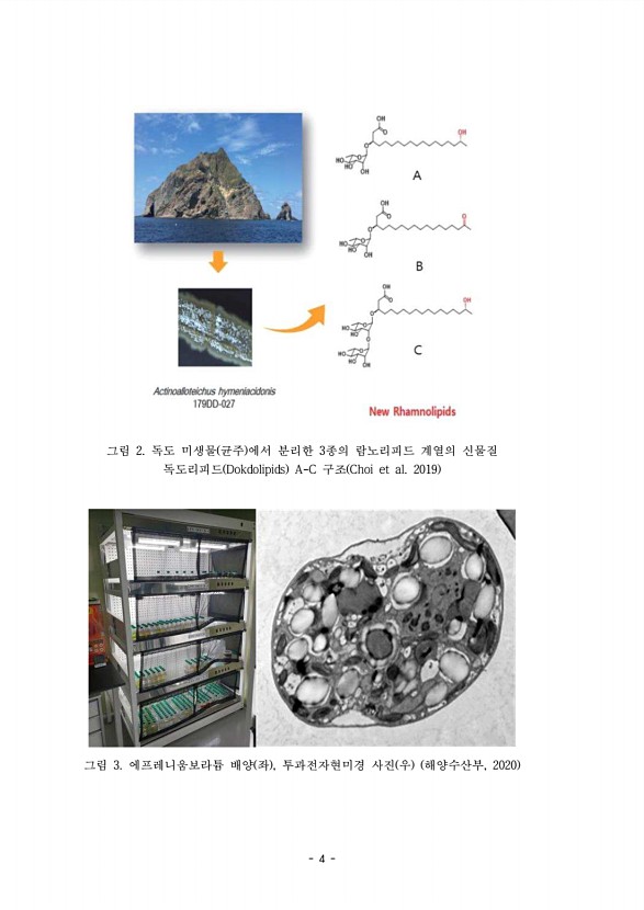 4페이지