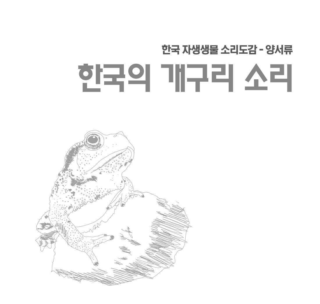 페이지