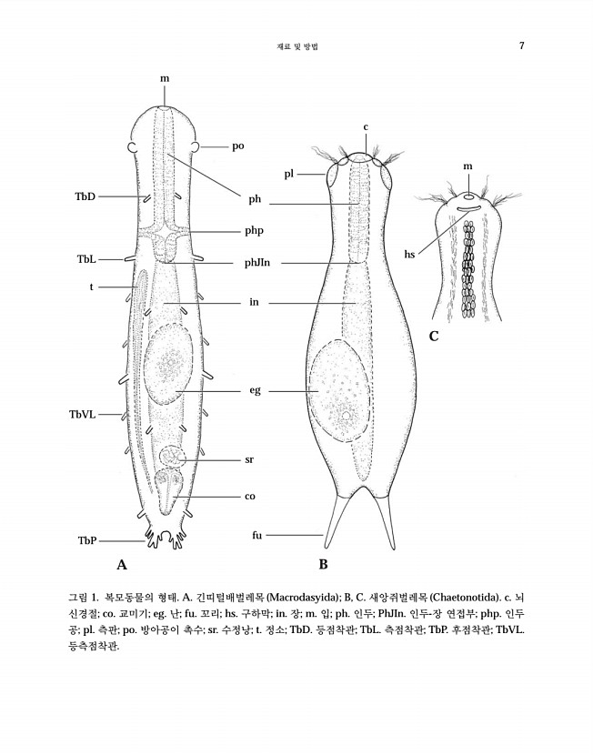 11페이지
